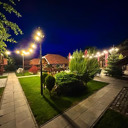 Vila Hora Cu Brazi Zărneşti Exterior foto