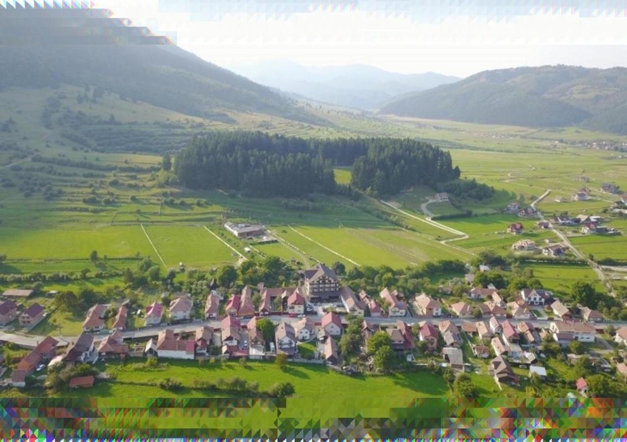 Vila Hora Cu Brazi Zărneşti Exterior foto