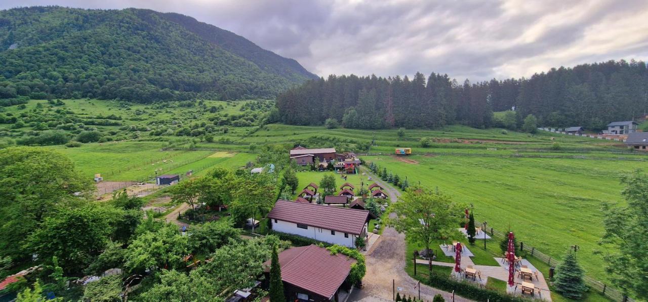 Vila Hora Cu Brazi Zărneşti Exterior foto