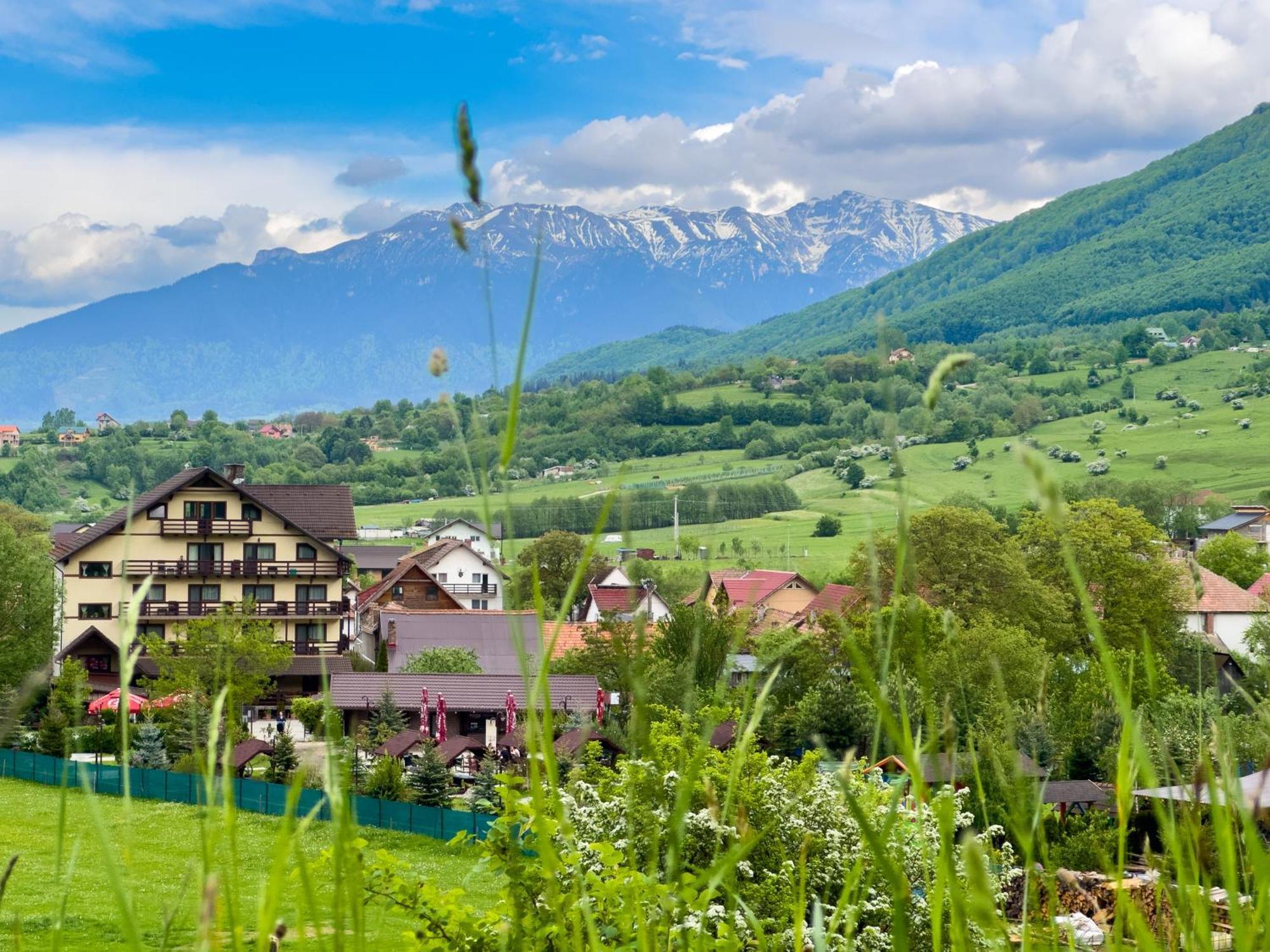 Vila Hora Cu Brazi Zărneşti Exterior foto