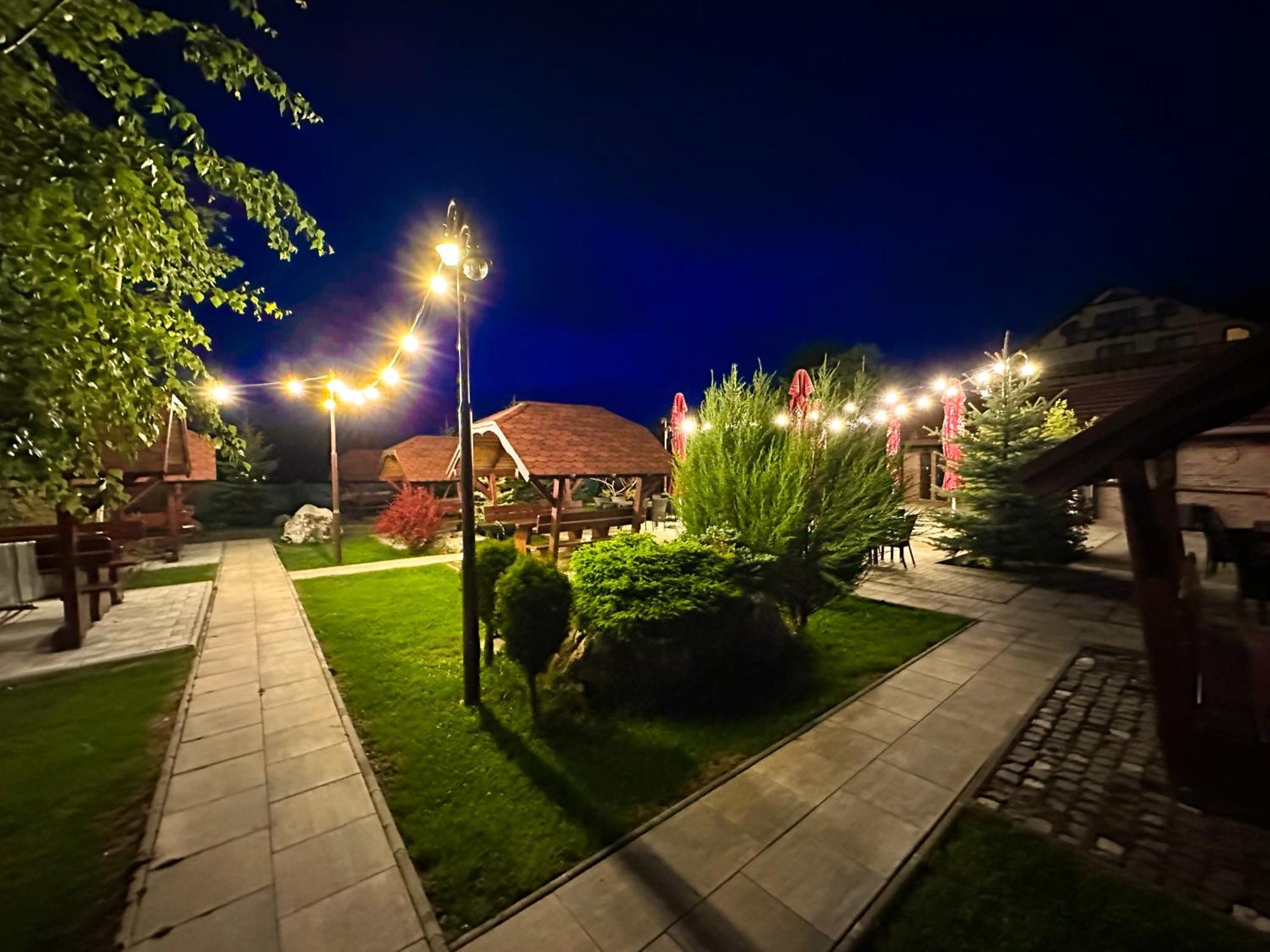 Vila Hora Cu Brazi Zărneşti Exterior foto
