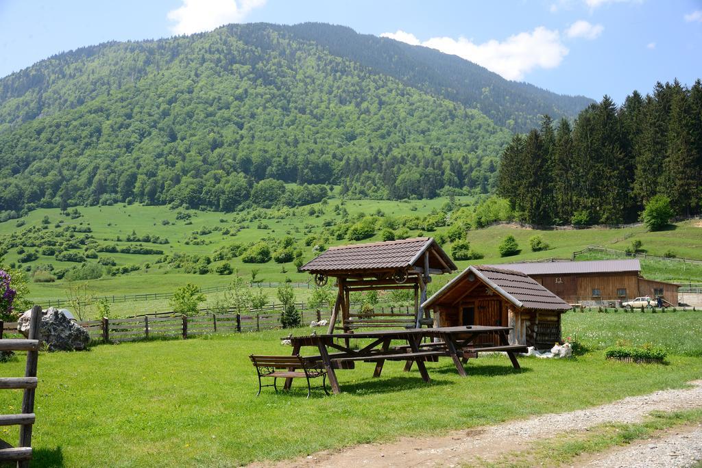Vila Hora Cu Brazi Zărneşti Exterior foto