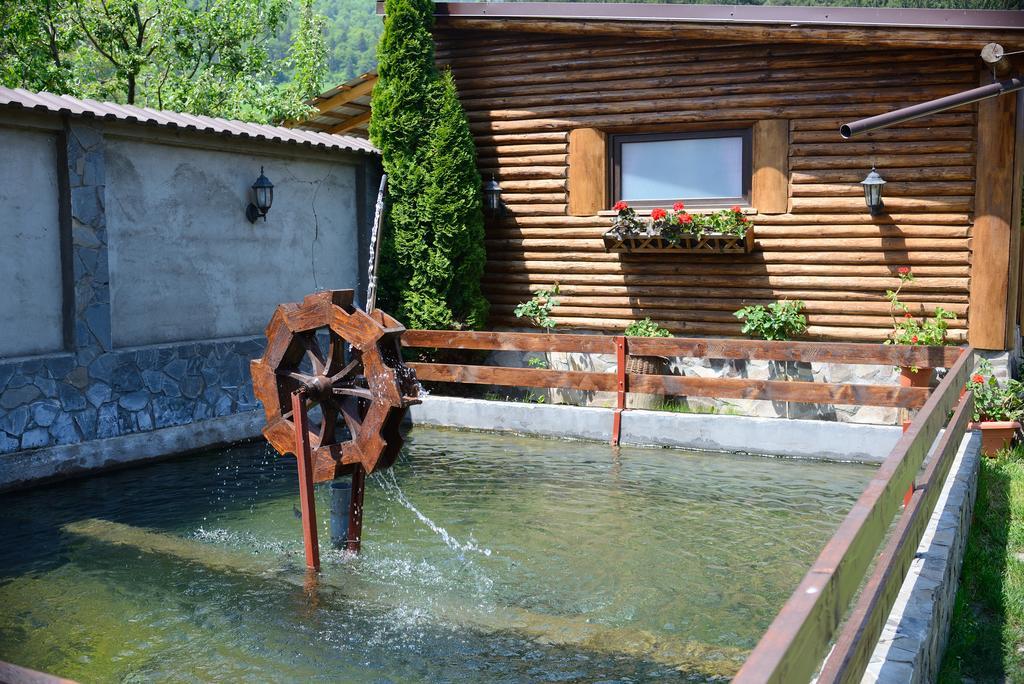 Vila Hora Cu Brazi Zărneşti Exterior foto