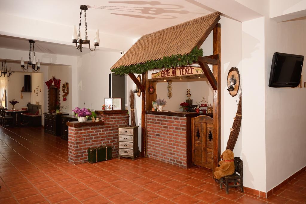 Vila Hora Cu Brazi Zărneşti Exterior foto